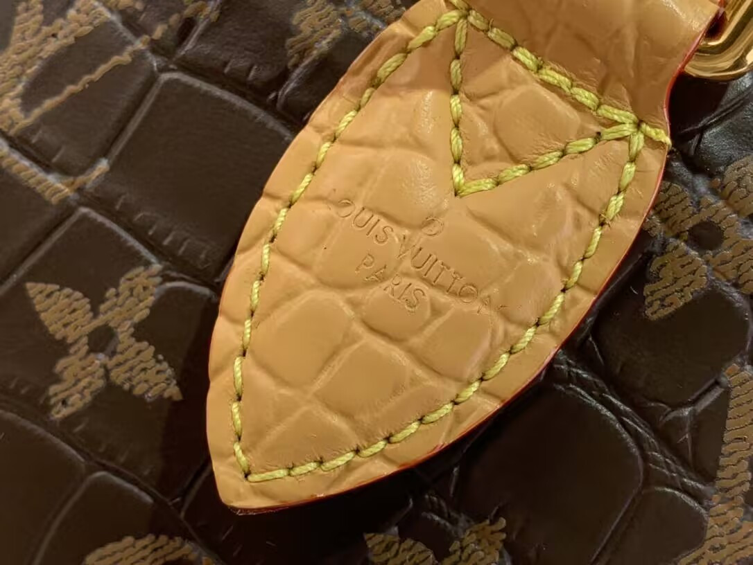 LV Speedy P9 25 N87504 25x15x15cm