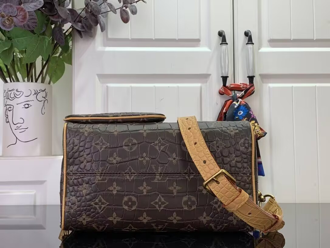 LV Speedy P9 25 N87504 25x15x15cm