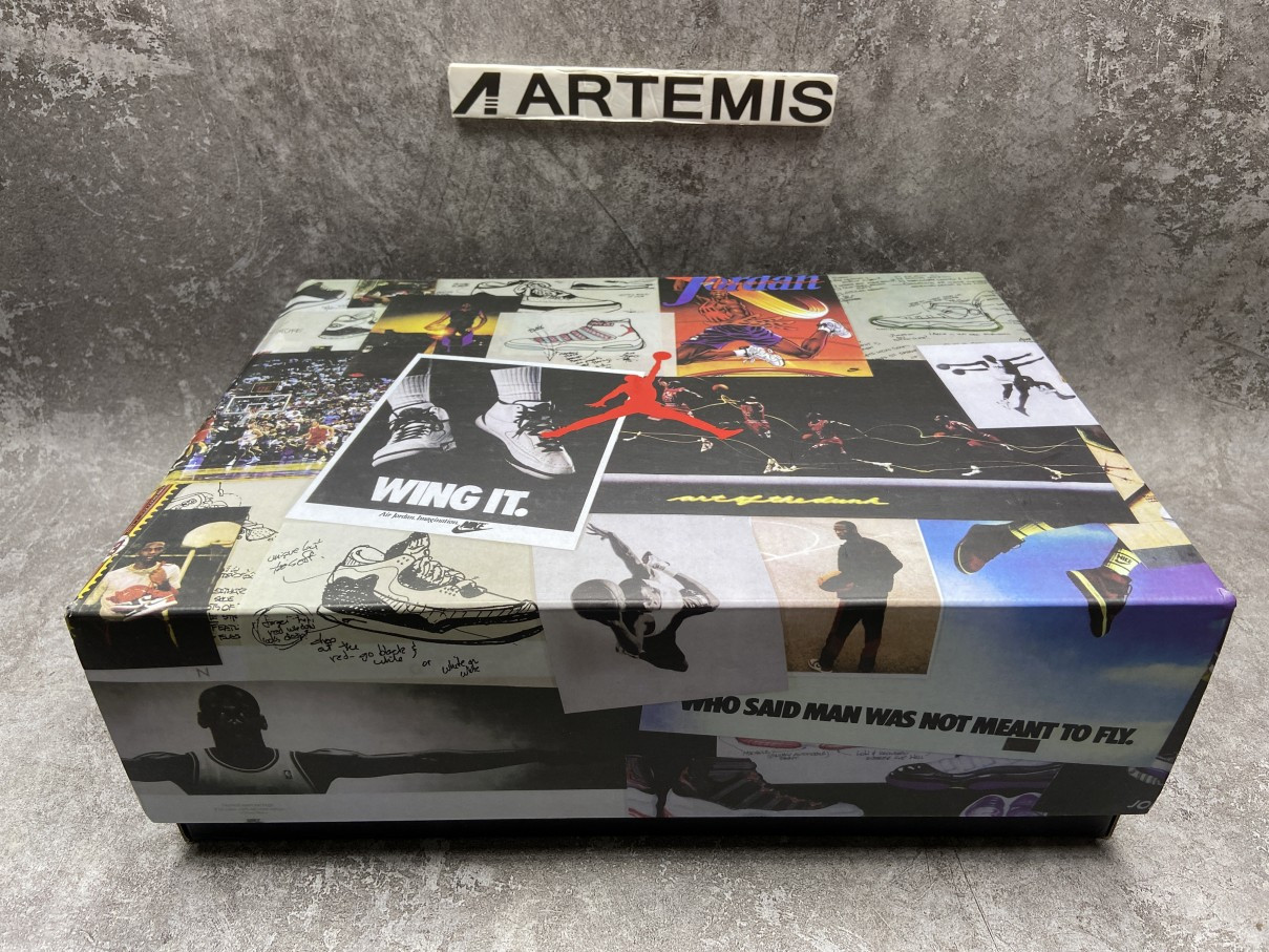 Air Jordan 3 Retro SE Animal Instinct 2.0