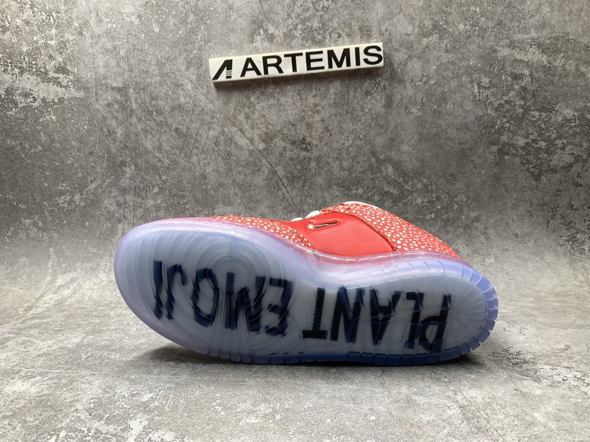 Nike Dunk SB Low Stingwater Magic Mushroom